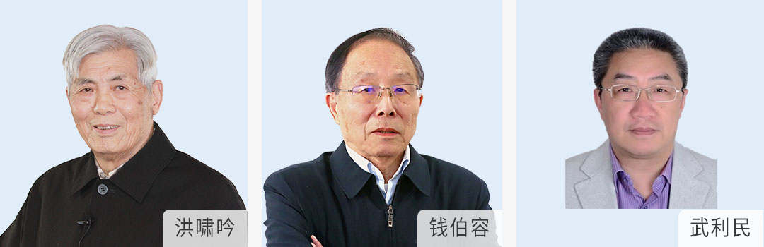 指导顾问