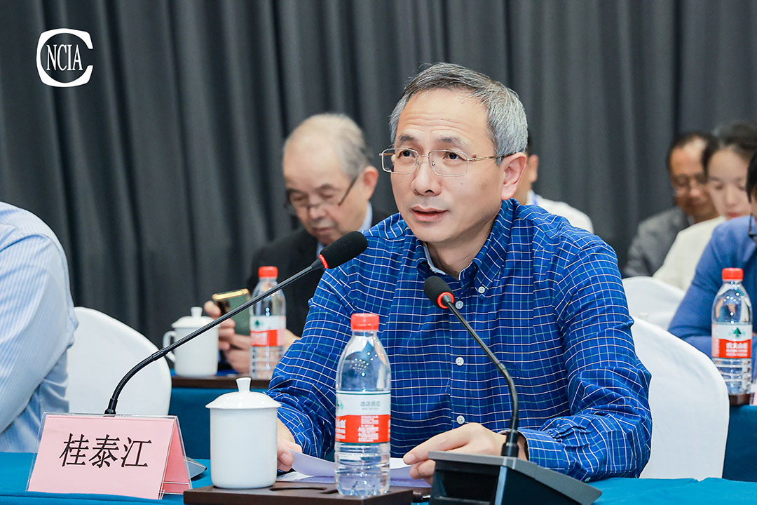 中国涂料工业协会技术专家工作委员会主任桂泰江